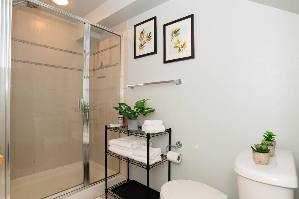 סיאטל Snug Suite Near Greenlake! מראה חיצוני תמונה